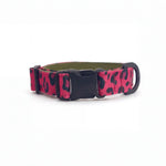 Dog collar in Barklin Pop Leopard pattern, standard 2.5 cm width, shown in front arc view with visible ECONABLE buckle, stitched edges, and clean product structure.