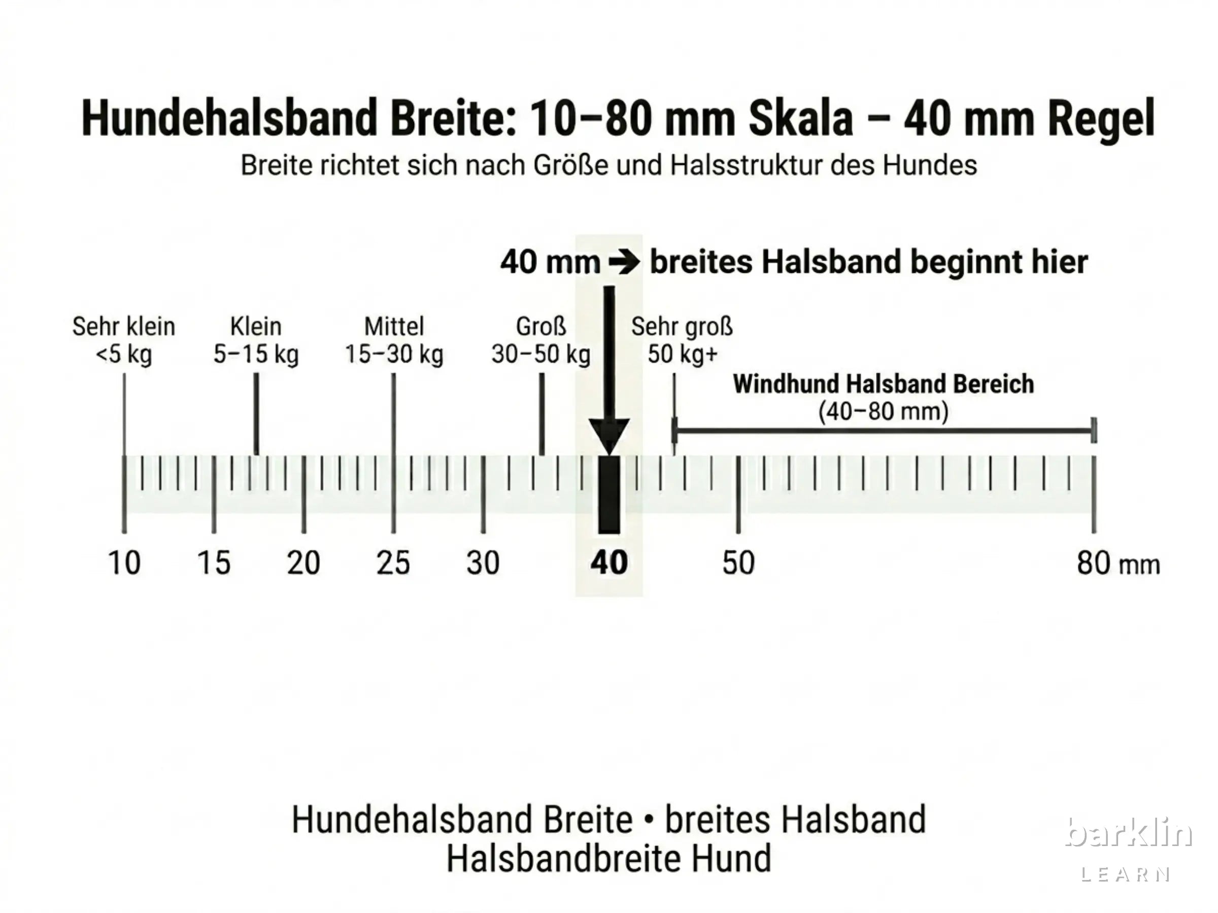 Halsbandbreiten-Skala 10 bis 80 mm mit Gewichtszuordnung und 40-mm-Schwellenwert für breites Hundehalsband